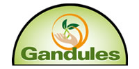 Gandules