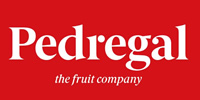 El Pedregal