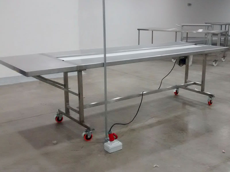 Faja Transportadora con Mesa